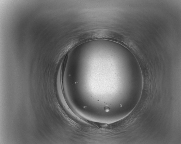 X0000058130393200509301958