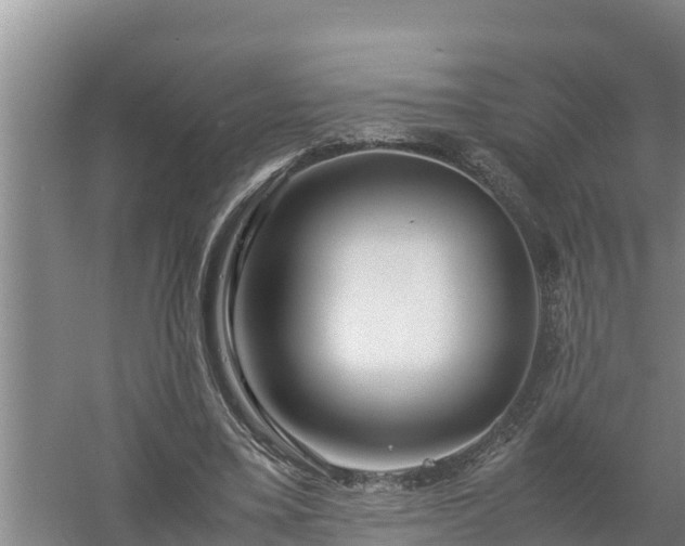 X0000058130395200509301958