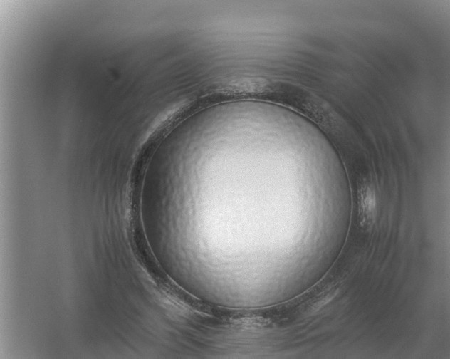 X0000058130396200509301958