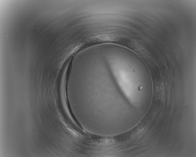 X0000058130398200509301958