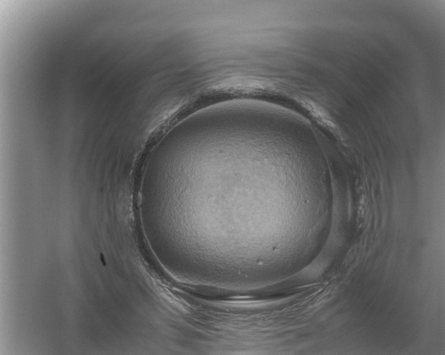 X0000058130399200509301958