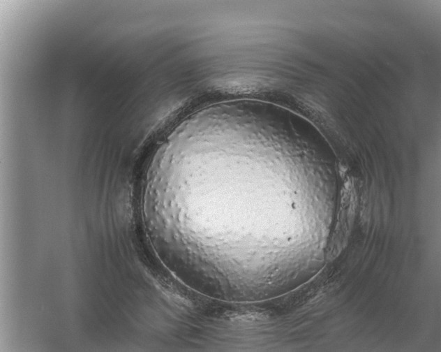 X0000058130400200509301958