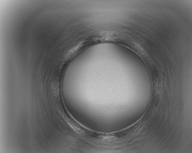 X0000058130401200509301958