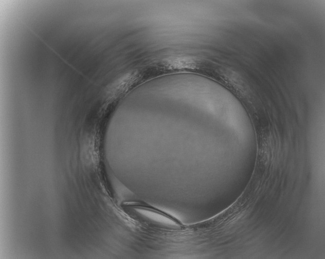 X0000058130402200509301958