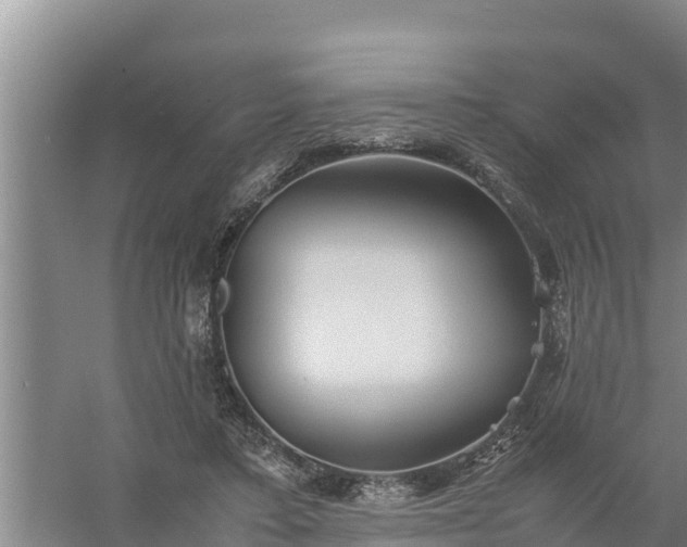 X0000058130403200509301958