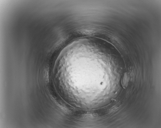 X0000058130404200509301958