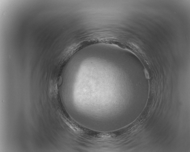 X0000058130405200509301958