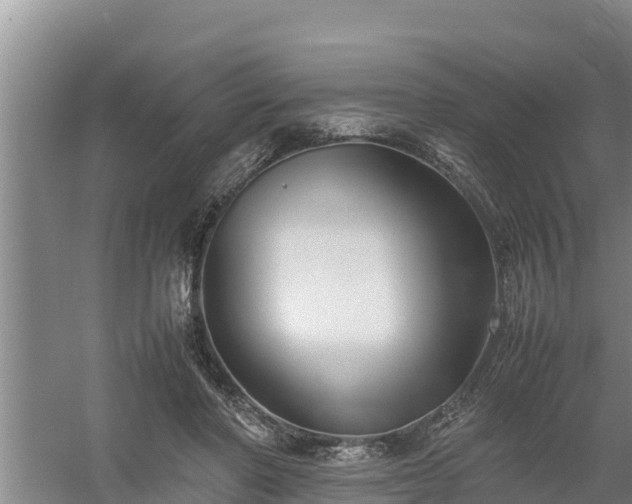 X0000058130406200509301958