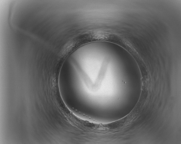 X0000058130407200509301958