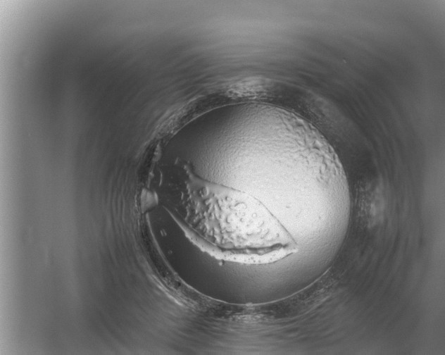 X0000058130408200509301958