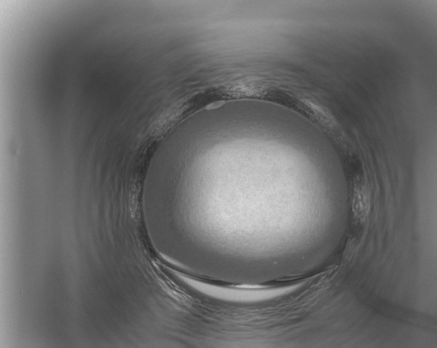 X0000058130409200509301958