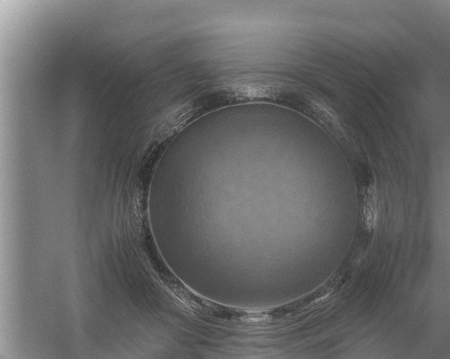 X0000058130410200509301958