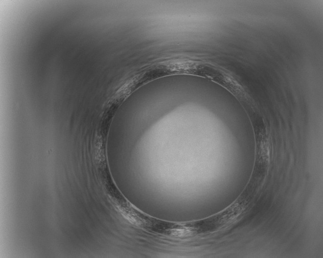 X0000058130411200509301958