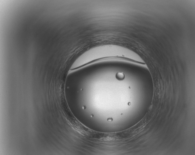 X0000058130412200509301958