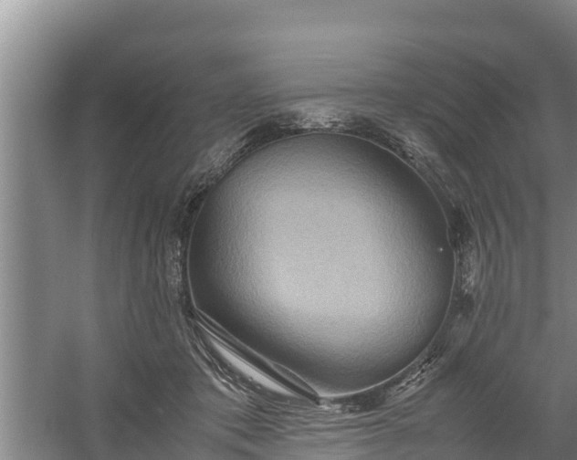 X0000058130413200509301958