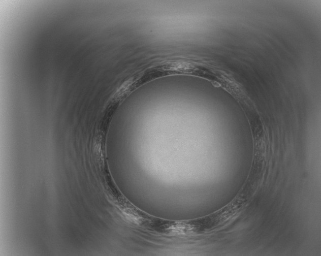 X0000058130415200509301958