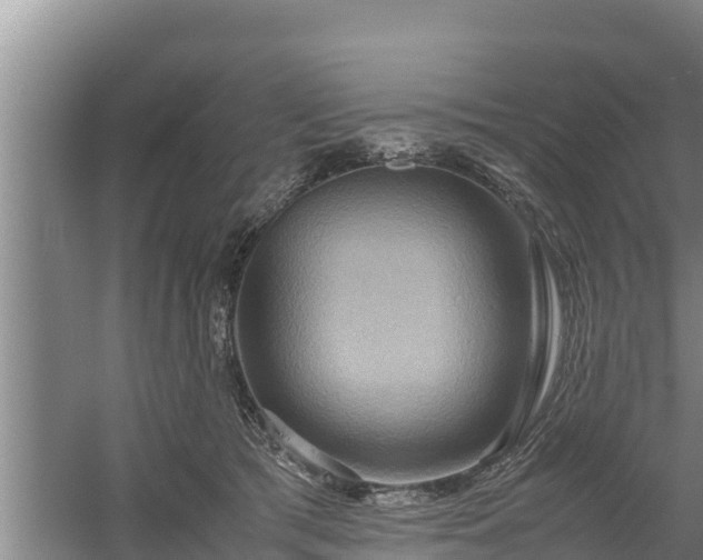 X0000058130417200509301958