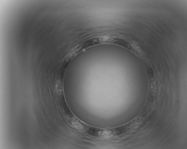 X0000058130419200509301958