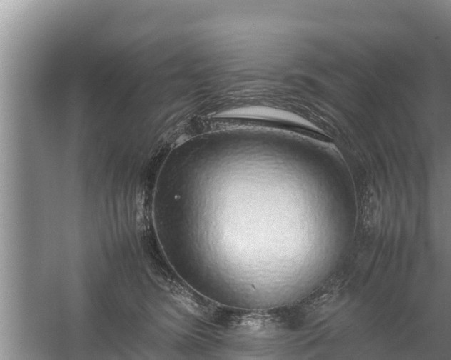 X0000058130420200509301958