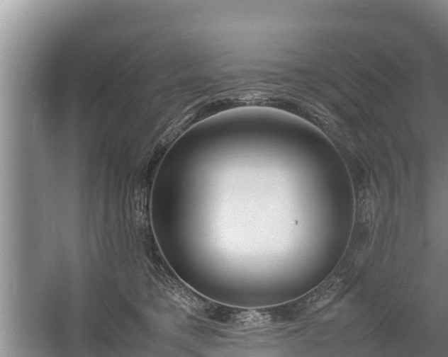 X0000058130421200509301958