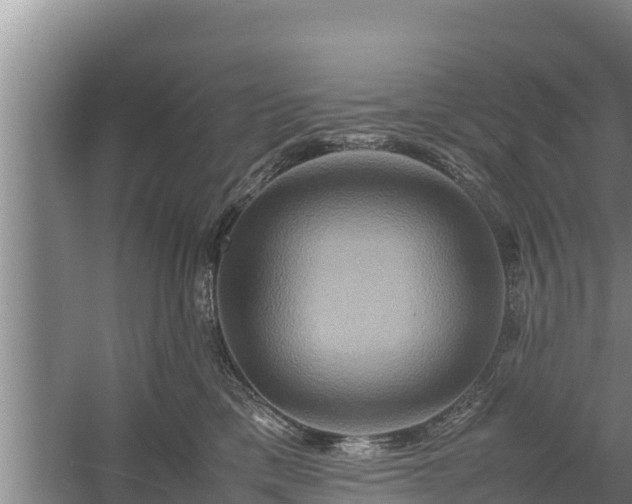 X0000058130425200509301958