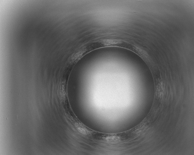 X0000058130426200509301958