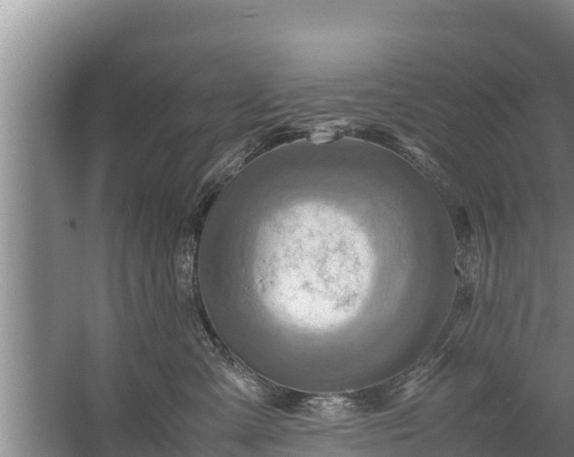 X0000058130427200509301957