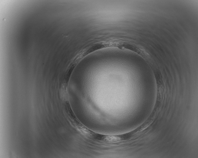 X0000058130429200509301957