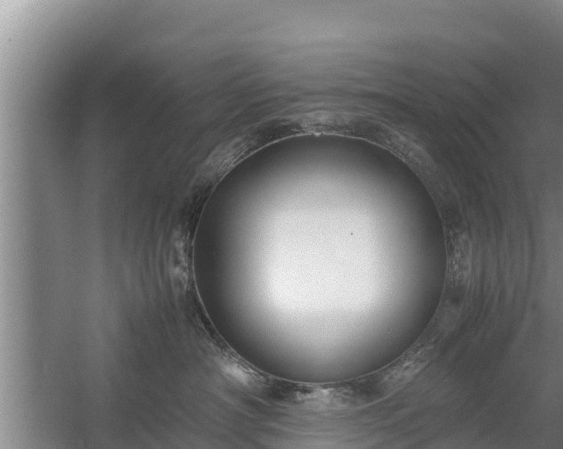 X0000058130430200509301957