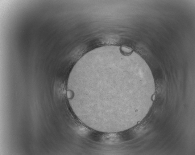 X0000058130431200509301957