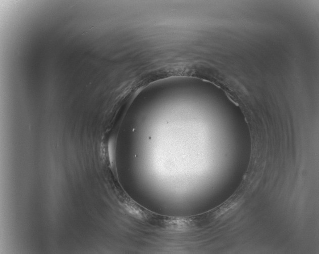 X0000058130432200509301957