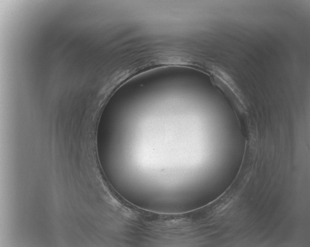 X0000058130433200509301957