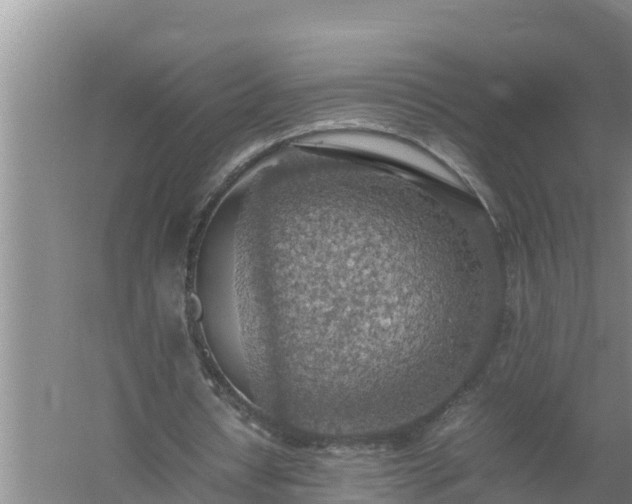 X0000058130434200509301957