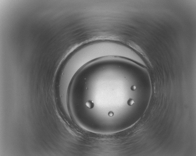 X0000058130436200509301957