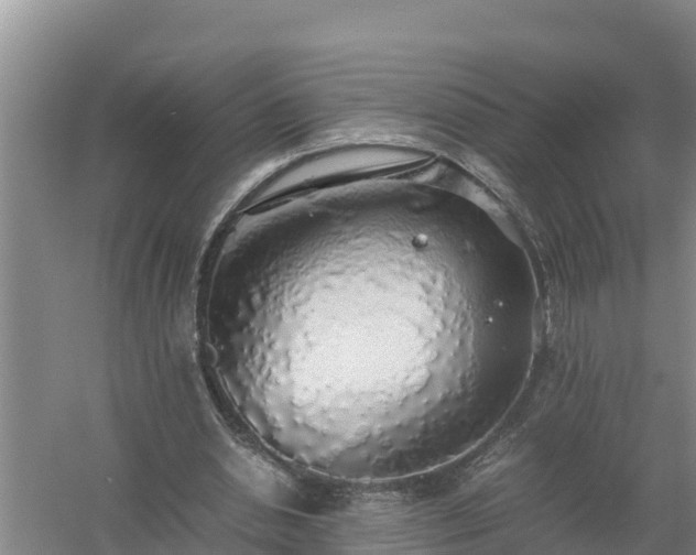 X0000058130438200509301957