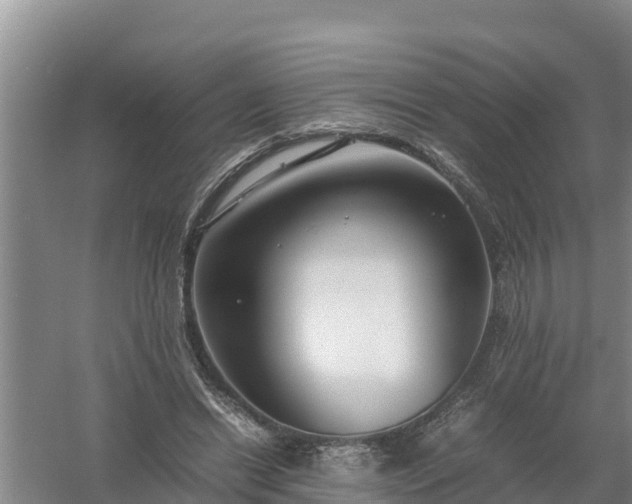 X0000058130446200509301957