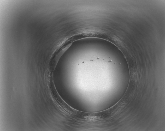 X0000058130448200509301957