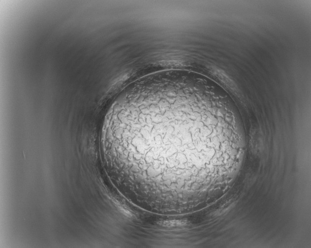 X0000058130449200509301957