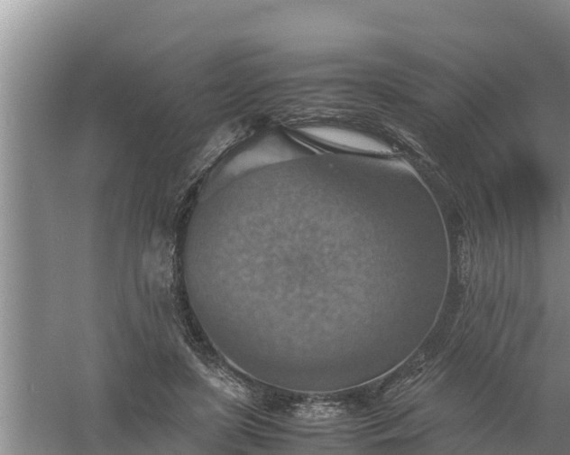 X0000058130451200509301957