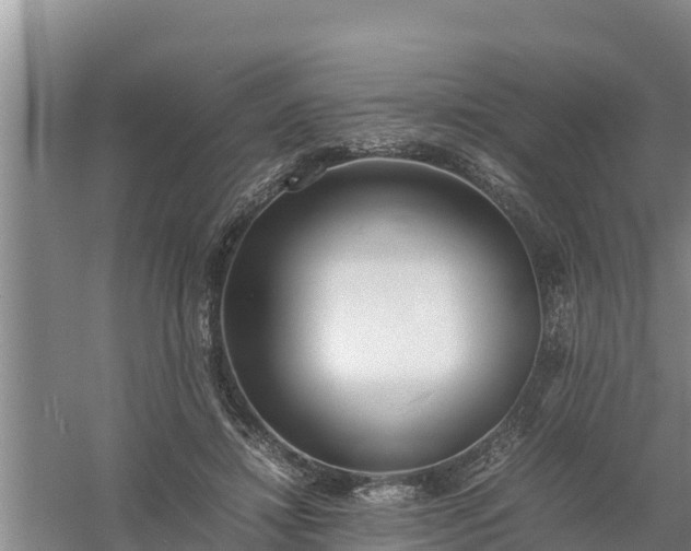 X0000058130452200509301957