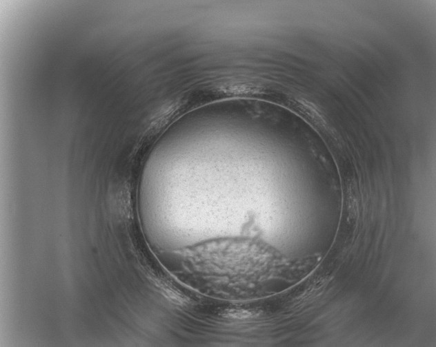 X0000058130453200509301957