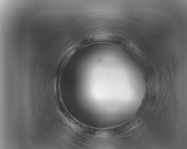 X0000058130454200509301957