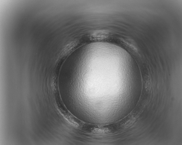 X0000058130455200509301957