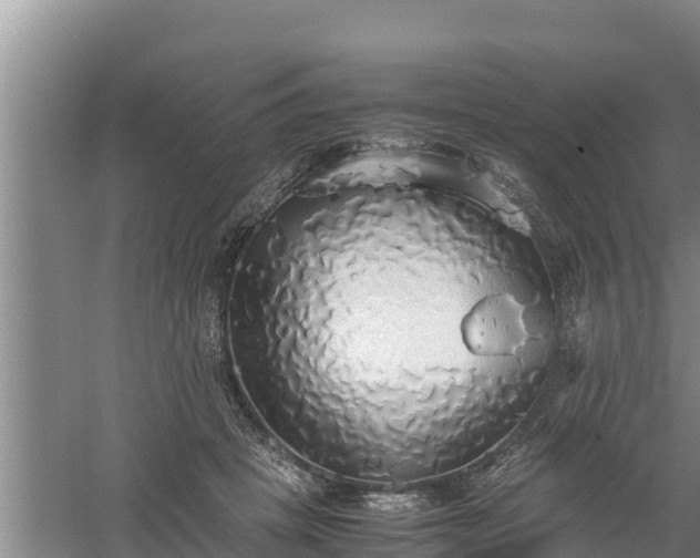 X0000058130457200509301957