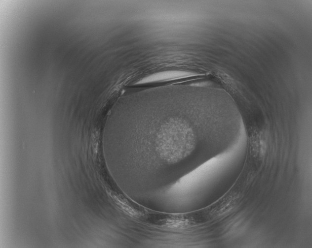 X0000058130458200509301957