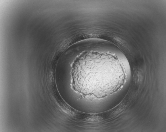 X0000058130459200509301957