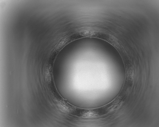 X0000058130460200509301957