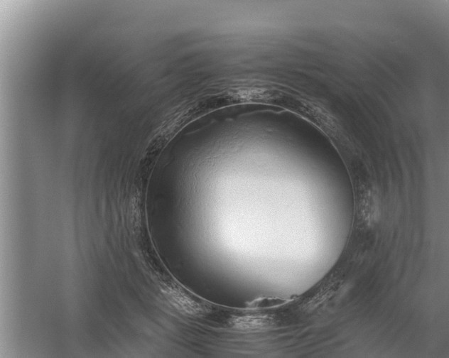 X0000058130461200509301957