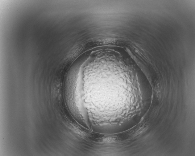 X0000058130462200509301957