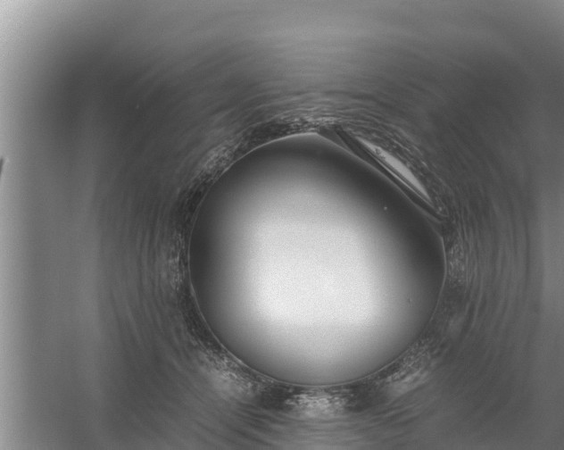 X0000058130464200509301957